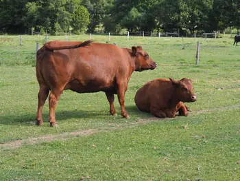 Ferme de la Planche (Blote voeten pad) (België)